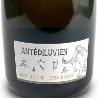 Vincent Metivier Antédiluvien Brut Nature / ヴァンサン・メティヴィエ・アンテディルーヴィアン・ブリュット・ナチュール