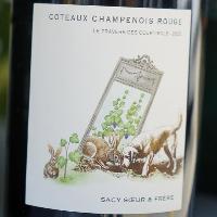 Sacy Soure & Frere Coteaux Champenois Rouge / サシー・スール・エ・フレール コトー・シャンプノワ・ルージュ