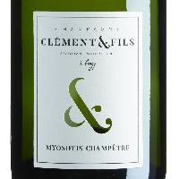 ミオソティス・シャンペトル Myosotis Champêtre