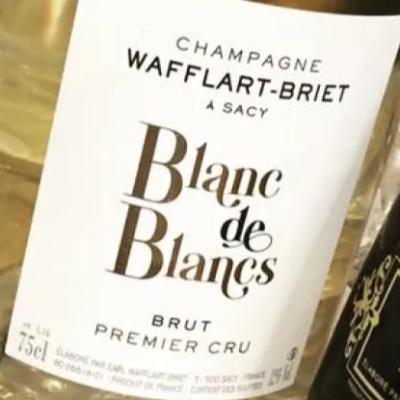 ブラン・ド・ブラン・ブリュット・プルミエ・クリュ Blanc de Blancs Brut Premier Cru